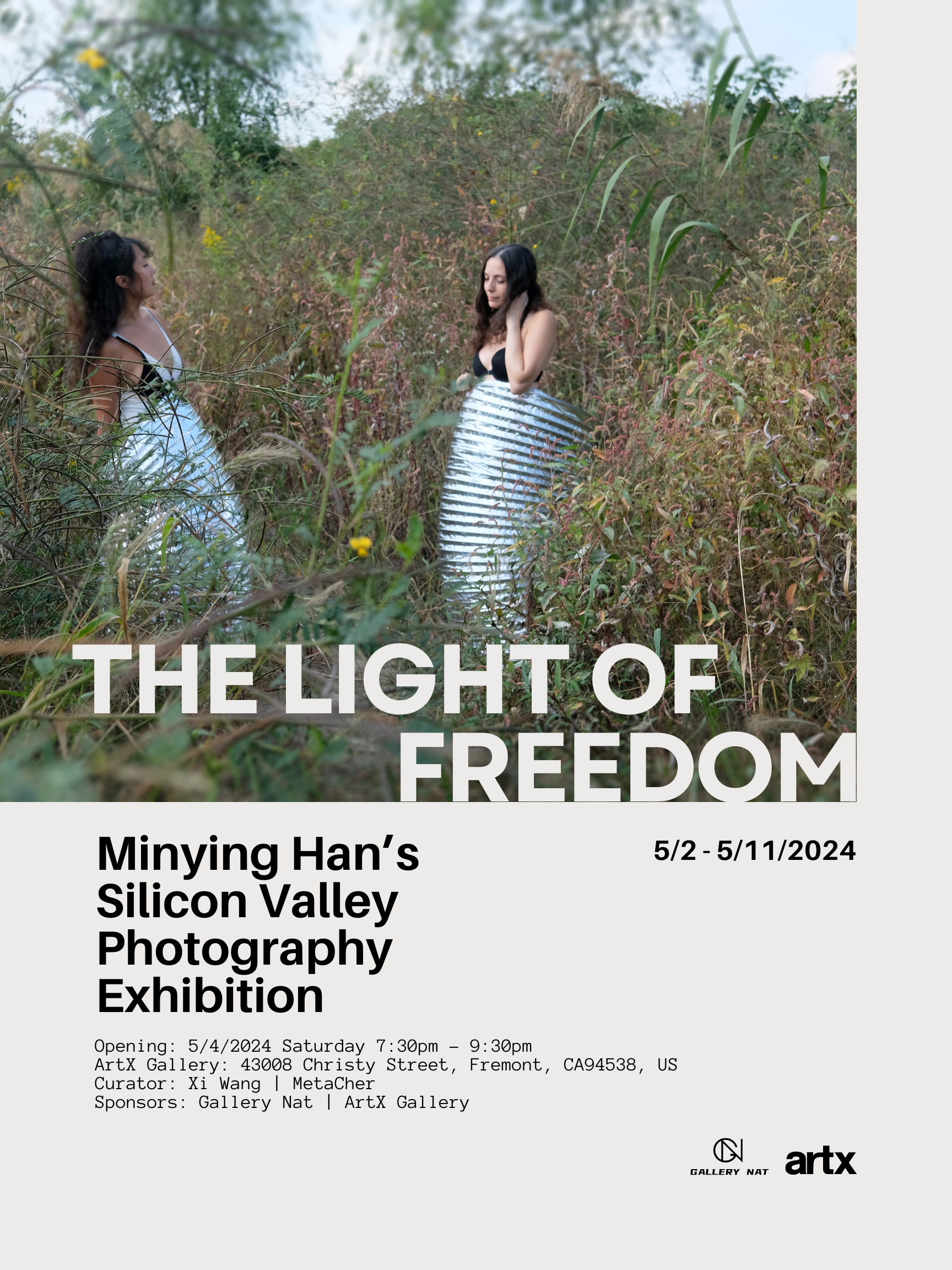 The Light of Freedom