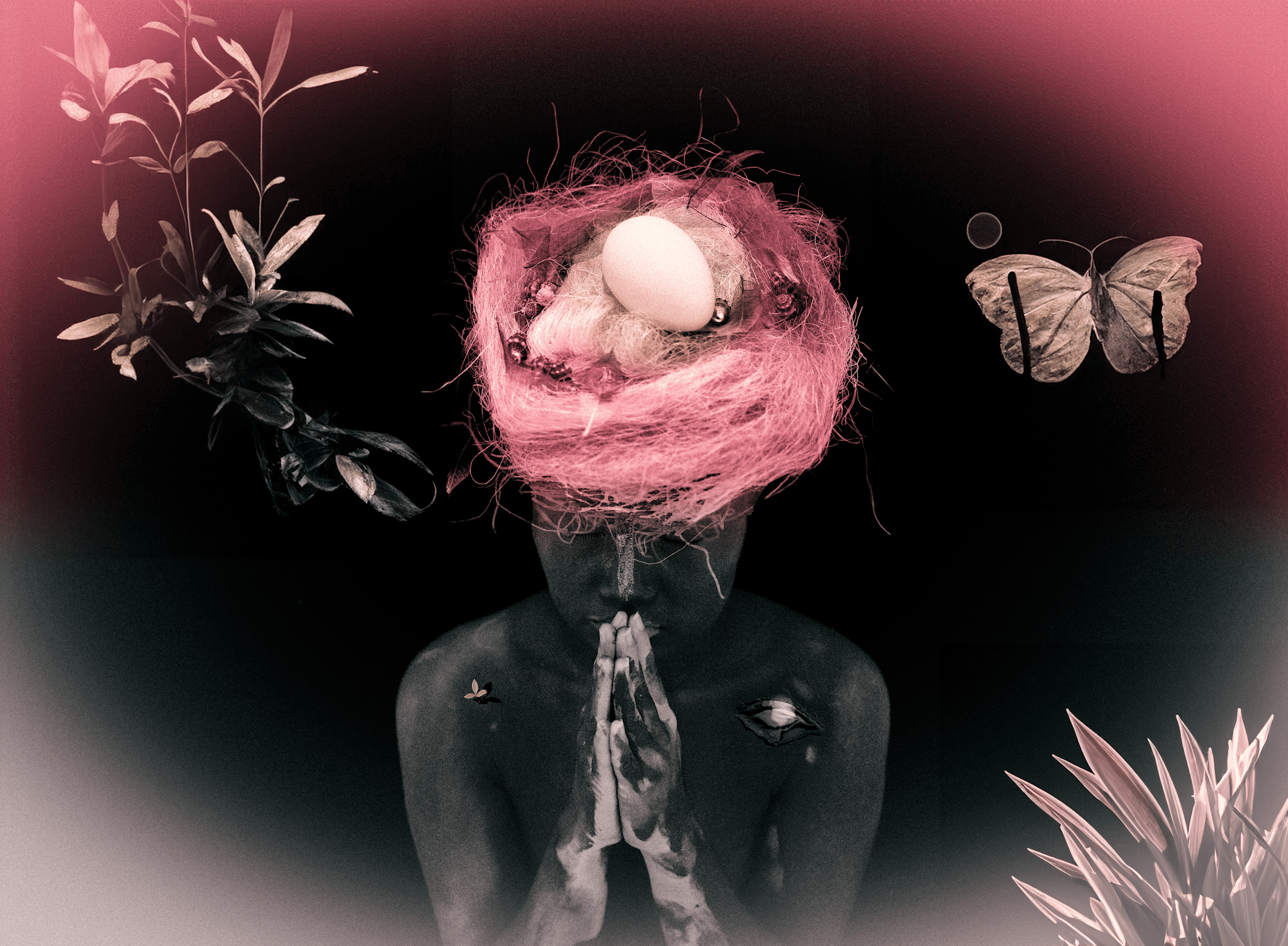 Luying Dong - Nature vs Nurture