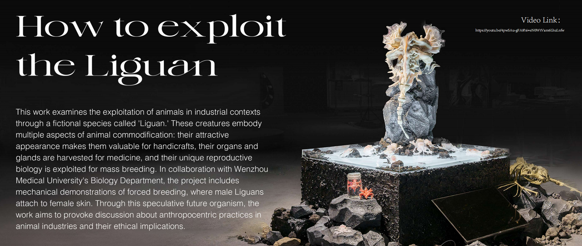 Sawyer Feng - How to exploit the Liguan